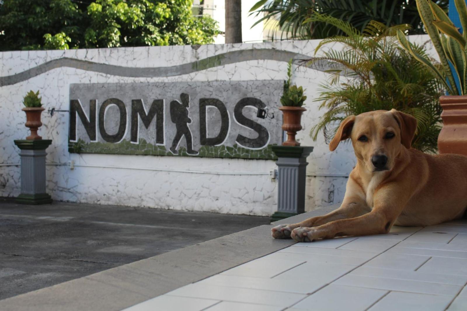 Nomads Hostel Multicultural & Coworking Salvador Kültér fotó