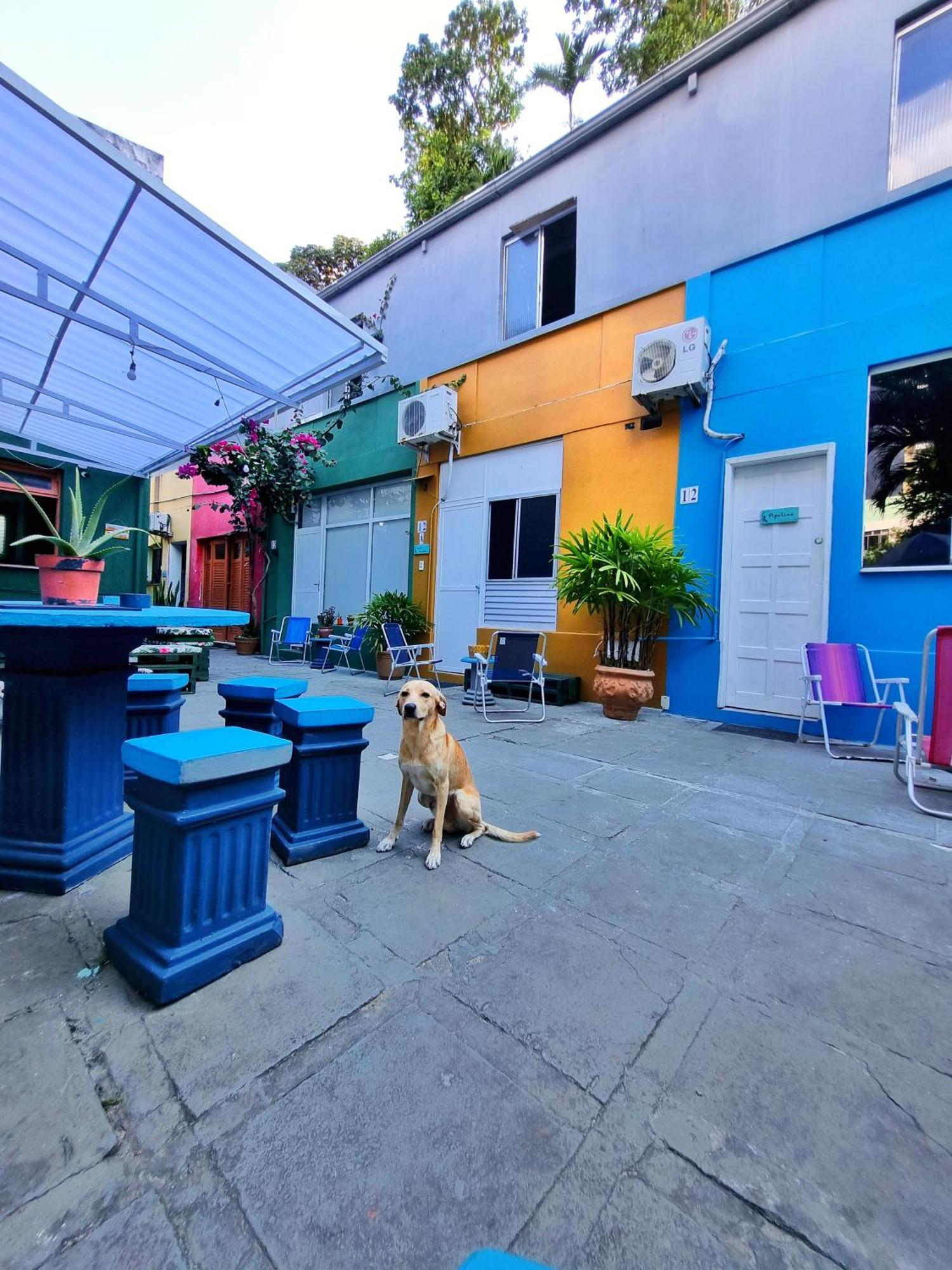 Nomads Hostel Multicultural & Coworking Salvador Kültér fotó